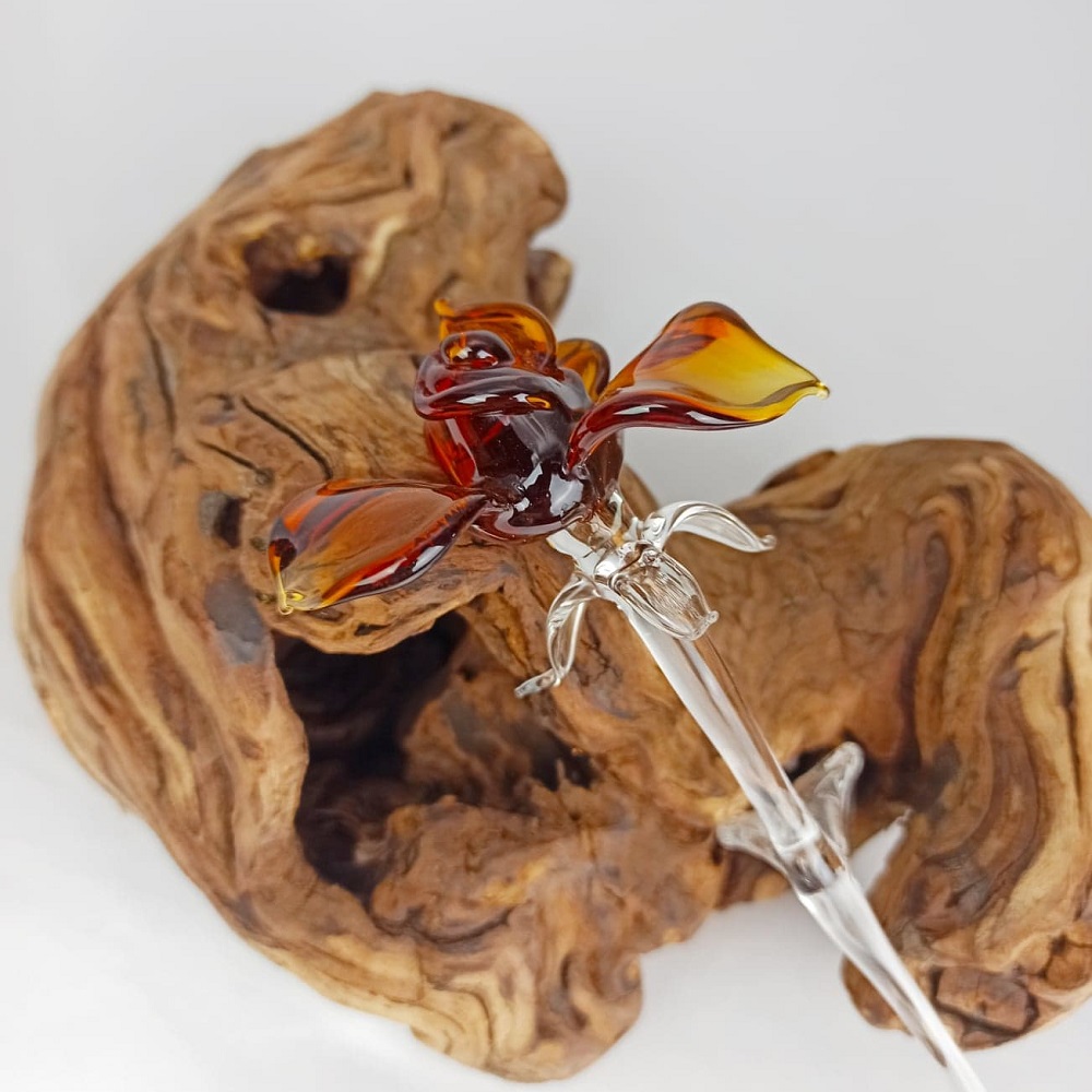Rose ambre gros plan devant morceau de bois