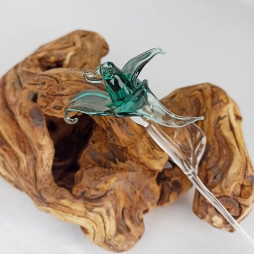 Rose teal gros plan devant morceau de bois