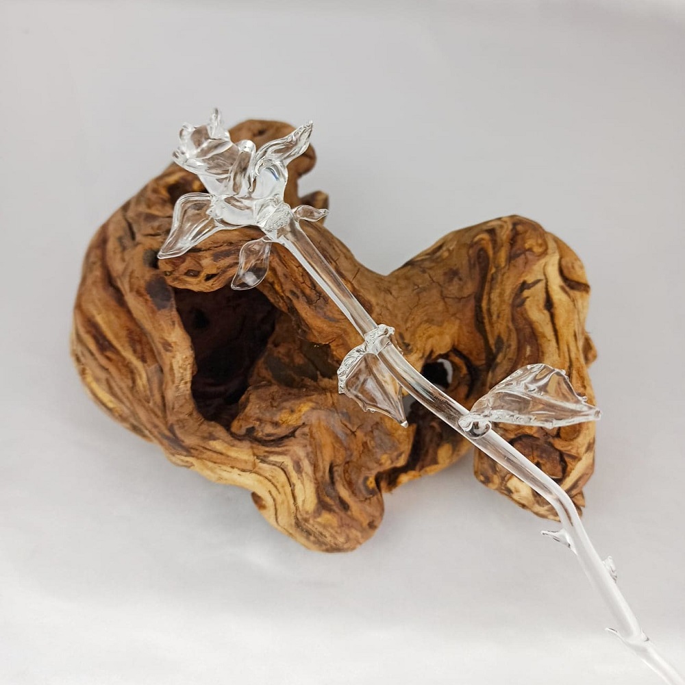Rose transparente sur morceau de bois