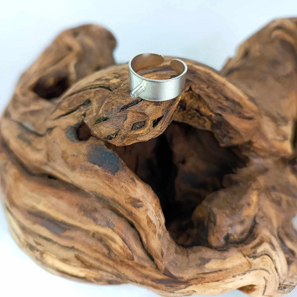 support bague interchangeable