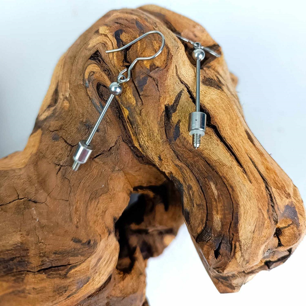 support boucles d'oreilles interchangeable